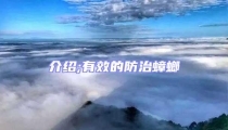 介紹;有效的防治蟑螂