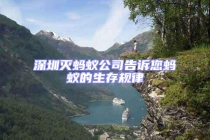 深圳滅螞蟻公司告訴您螞蟻的生存規律