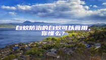 白蟻防治的白蟻可以食用,你懂么?