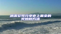 消殺公司分享史上最全的滅螞蟻方法