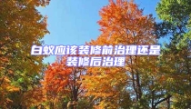 白蟻應該裝修前治理還是裝修后治理