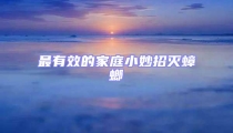 最有效的家庭小妙招滅蟑螂