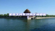 家庭怎樣有效消滅蟑螂呢?