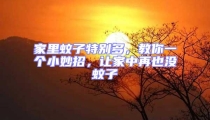 家里蚊子特別多,教你一個小妙招,讓家中再也沒蚊子