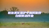教您美化維護中如何做好白蟻防治作業