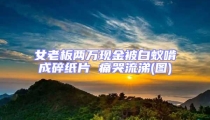 女老板兩萬現金被白蟻啃成碎紙片 痛哭流涕(圖)