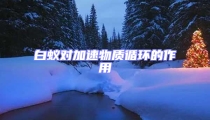 白蟻對加速物質循環(huán)的作用