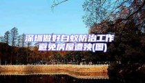 深圳做好白蟻防治工作 避免房屋遭殃(圖)