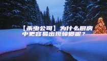 【殺蟲公司】為什么廚房中更容易出現蟑螂呢?