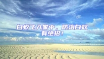 白蟻飛入家中,防治白蟻有絕招!