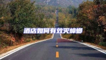 酒店如何有效滅蟑螂