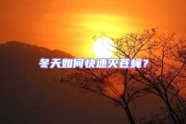 冬天如何快速滅蒼蠅？