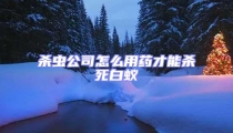 殺蟲公司怎么用藥才能殺死白蟻