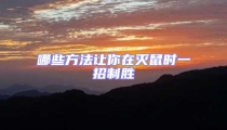 哪些方法讓你在滅鼠時一招制勝