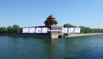 蟑螂危害——健康篇