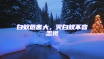 白蟻危害大,滅白蟻不容忽視