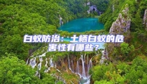 白蟻防治:土棲白蟻的危害性有哪些?