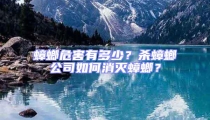 蟑螂危害有多少?殺蟑螂公司如何消滅蟑螂?