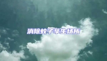 消除蚊子孳生場所