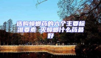 選購蟑螂藥的六個主要標準要素 滅蟑螂什么藥最好