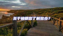 關于蟑螂您了解多少?