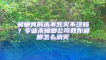 蟑螂真的殺不死滅不絕嗎？專業(yè)殺蟑螂公司教你蟑螂怎么消滅