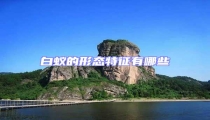 白蟻的形態特征有哪些