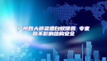 廣州四大橋梁遭白蟻侵襲 專家稱不影響結構安全