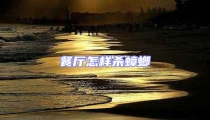 餐廳怎樣殺蟑螂