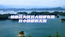 蟑螂藥為何對大蟑螂有用對小蟑螂則無用