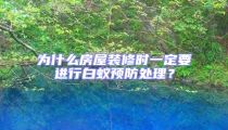 為什么房屋裝修時一定要進行白蟻預防處理?