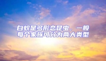 白蟻是多形態昆蟲,一般每個家族可分為兩大類型