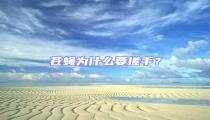 蒼蠅為什么要搓手?