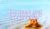 發現白蟻怎么辦?怎么殺白蟻?滅白蟻的方法 深圳專業白蟻防治公司