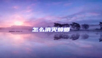 怎么消滅蟑螂