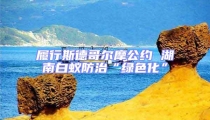 履行斯德哥爾摩公約 湖南白蟻防治“綠色化”