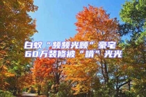 白蟻“頻頻光顧”豪宅 60萬裝修被“啃”光光