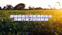 深圳消殺公司鼠患的環境改善方案之封堵鼠道