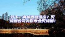 雙十一為蟑螂造溫床?滅蟑螂公司為你專業滅蟑螂!