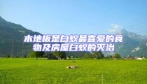 木地板是白蟻最喜愛的食物及房屋白蟻的滅治