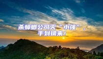 殺蟑螂公司滅“小強”,手到擒來!