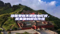 潔保受到不明昆蟲叮咬,原來是螞蟻在作怪