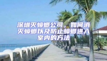 深圳滅蟑螂公司,如何消滅蟑螂以及防止蟑螂進(jìn)入室內(nèi)的方法