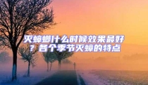 滅蟑螂什么時候效果最好?各個季節滅蟑的特點