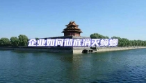 企業如何徹底消滅蟑螂