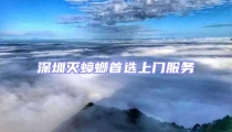 深圳滅蟑螂首選上門服務