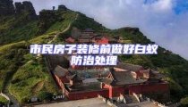 市民房子裝修前做好白蟻防治處理