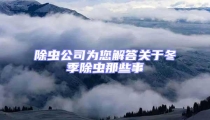 除蟲公司為您解答關于冬季除蟲那些事