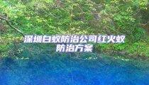 深圳白蟻防治公司紅火蟻防治方案