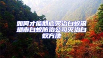如何才能徹底滅治白蟻深圳市白蟻防治公司滅治白蟻方法